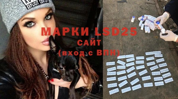 mdpv Волоколамск