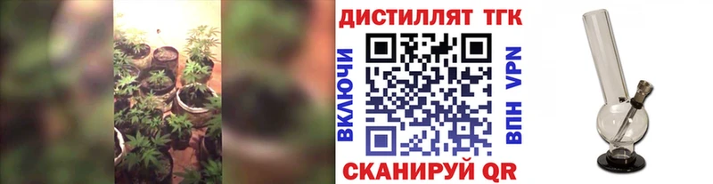 ТГК THC oil  продажа наркотиков  это Telegram  Ноябрьск 