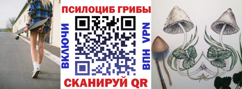 закладки  Ноябрьск  Галлюциногенные грибы прущие грибы 